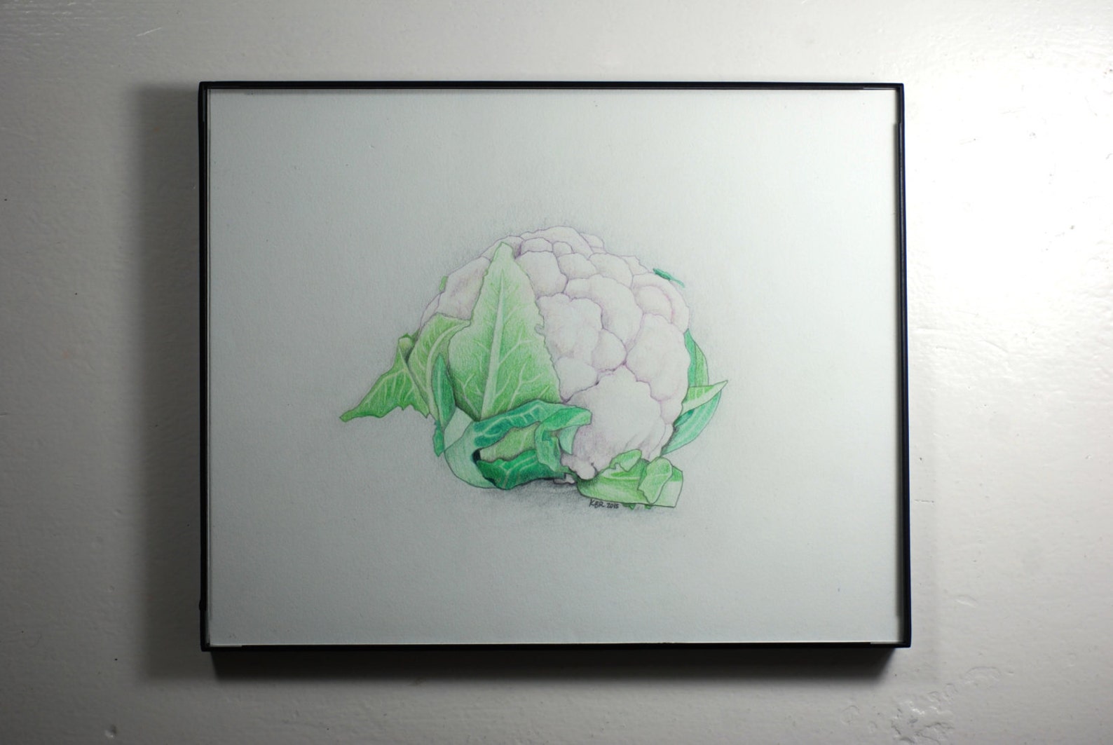Cauliflower Colored Pencil Drawing Original Etsy