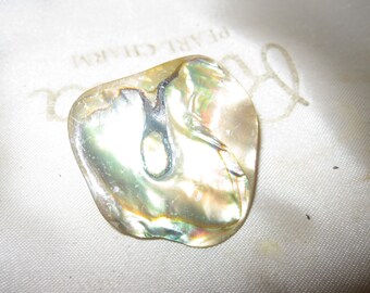 Lovely vintage Made In Great Britain Real Natural abalone freeform brooch