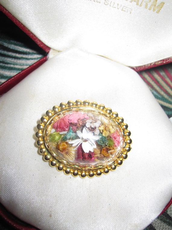 Lovely vintage goldtone domed brooch with dried flowers inside 1.1 inches