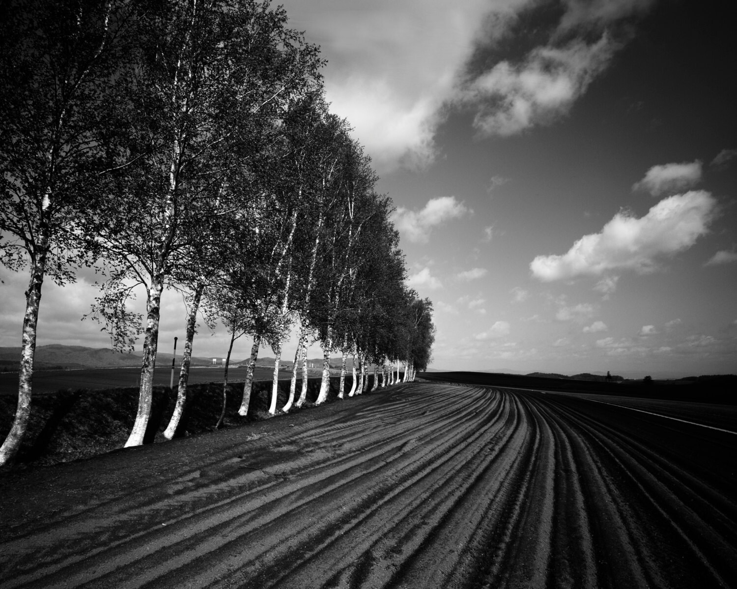 Landscape Print Fine Art Print Black and White Nature Art Etsy