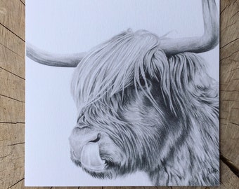 Rude MacDude, a Highland cow greeting card