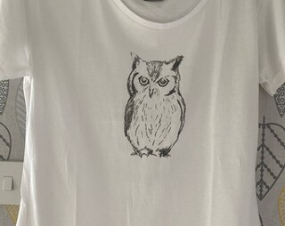Flip T-Shirt Donna Con Stampa Gufo E Uccellini - Blu Cielo - 100% Cotone - Taglia Small