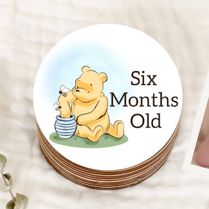 Milestone Discs/Winnie the Pooh/Baby Shower Gift/Baby Props/Baby Milestone 10cm/Pooh Bear/Classic Winnie/Classic Pooh Bear