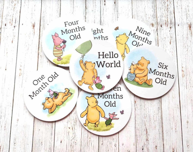 Winnie the Pooh Milestone Discs: Baby Photo Props, Shower Gift, 10cm ...