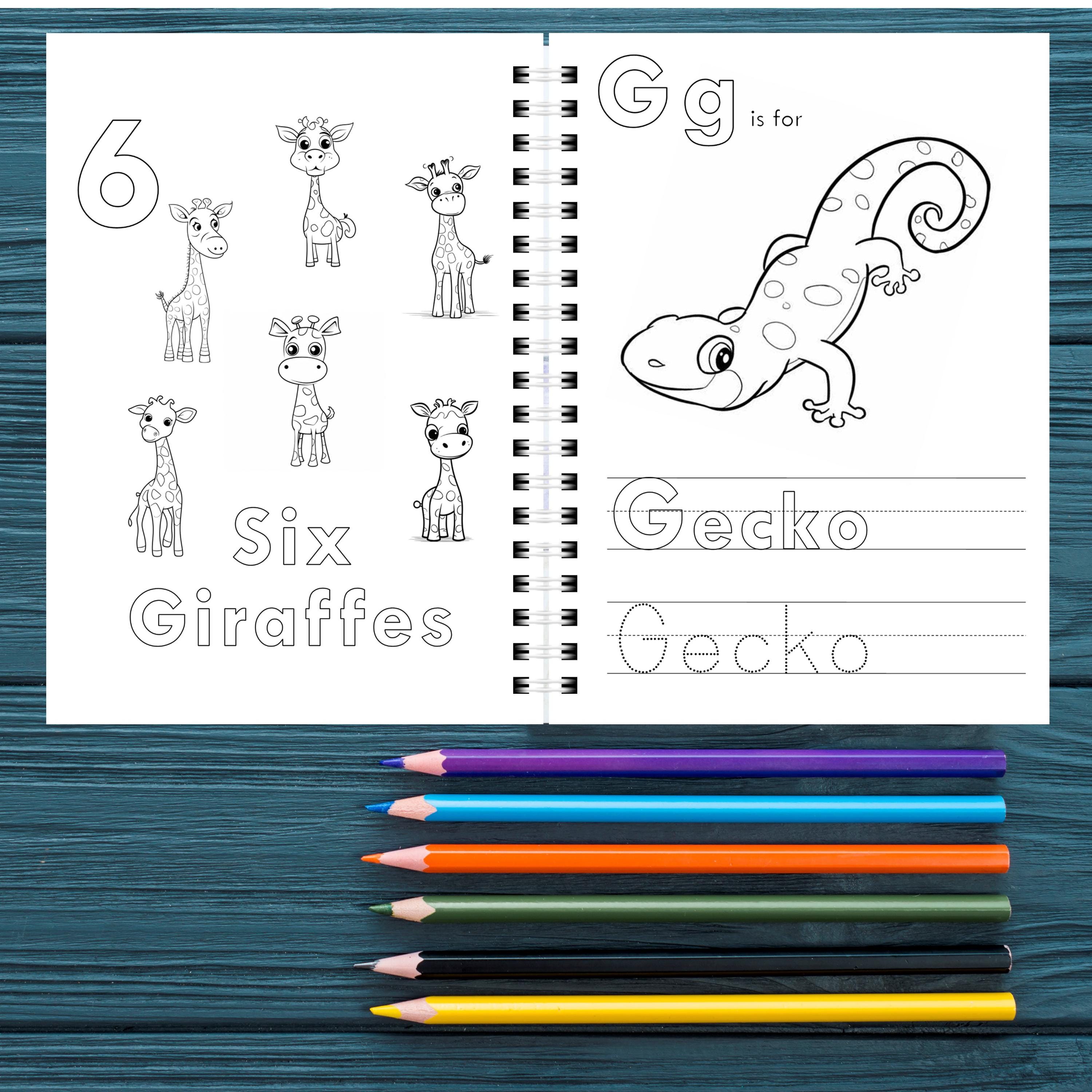 Personalised ABC Activity Book: Learning Gift for Kids - Etsy Australia