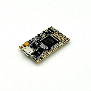 May include: A black circuit board with gold-colored pins and a micro USB connector. The board has a small chip with the text "STM32F103" printed on it.