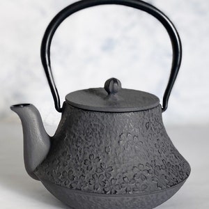 Kyusu Japanese Tea kettle Nanbu Cast Iron Fuji Cherry Pattern 0.4L Japan