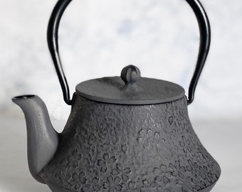 Kyusu Japanese Tea kettle Nanbu Cast Iron Fuji Cherry Pattern 0.4L Japan