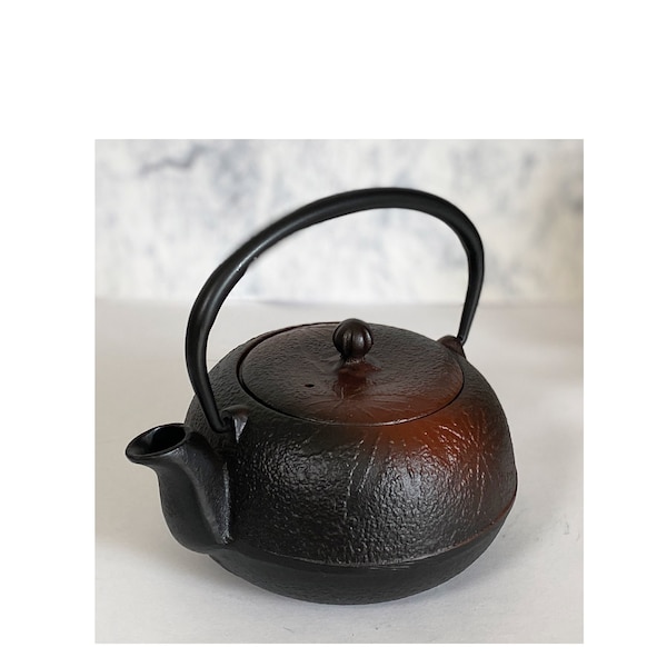 Kyusu Japanese Tea pot kettle Nanbu Cast Iron Autumn Leaves Pattern 0.4L Japan/Non enamel coating