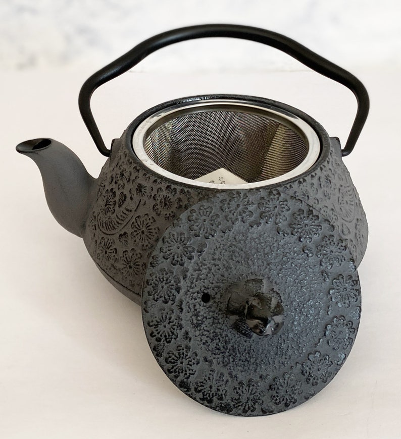 Kyusu Nanbu Tekki Japanese Cast Iron Tea Pot Dobari Sakura Etsy