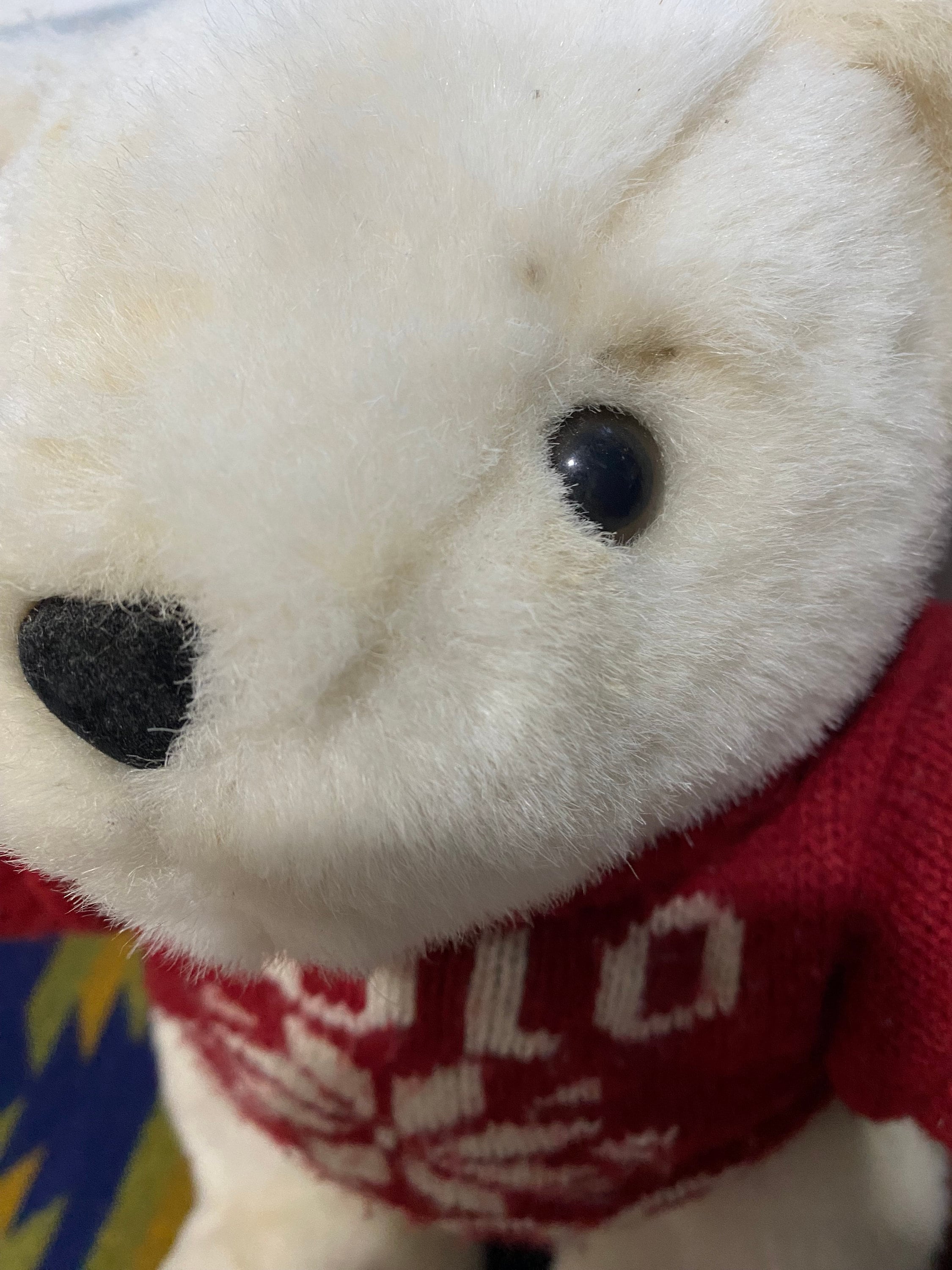polo ralph lauren stuffed bear