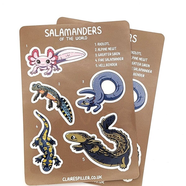 Salamanders of the World Sticker Sheet / Glossy Vinyl oder Matte Paper Stickers