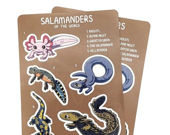 Salamanders of the World Sticker Sheet / Glossy Vinyl or Matte Paper Stickers
