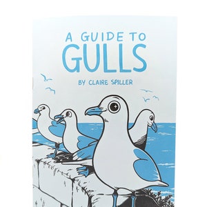 A Guide to Gulls / Wildlife Zine / Animal Book / Non-Fiction Bird Gift