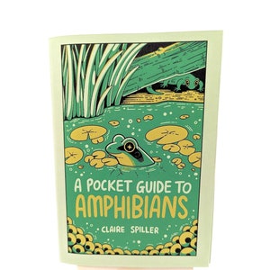 A  Pocket Guide to Amphibians / Wildlife Zine / Fold Out Mini Zine / Poster / Frogs Toad Salamanders Newts Caecilians