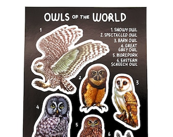 Owls of the World Sticker Sheet / Vinyl Wildlife Bird Stickers