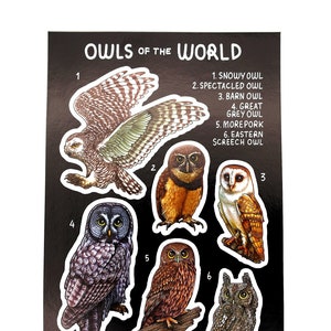 Uilen van de wereld stickervel/vinyl wildlife vogelstickers