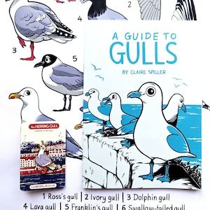 Gull Zine Bundle / Seagull Zine , A3 Poster & Enamel Pin image 1