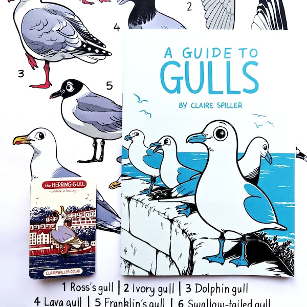 Gull Zine Bundle / Seagull Zine , A3 Poster & Enamel Pin