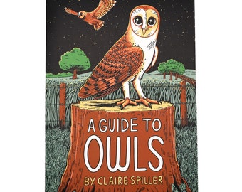 A Guide to Owls / Wildlife Zine / Illustrated Animal Book