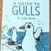 A Guide to Gulls / Wildlife Zine / Animal Book / Non-Fiction Bird Gift