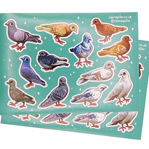 Foglio di adesivi City Pigeons / Vinile lucido / Arte di uccelli carini / Adesivi per la fauna selvatica