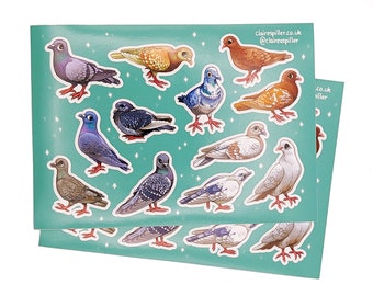 City Pigeons Sticker Sheet / Glossy Vinyl / Cute Bird Art / Wildlife Stickers
