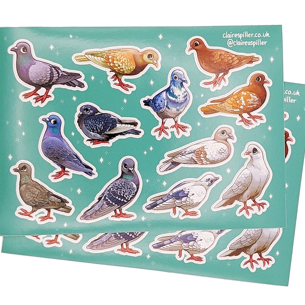 City Pigeons Sticker Sheet / Glossy Vinyl / Cute Bird Art / Wildlife Stickers