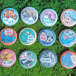 Peut inclure: Un ensemble de douze badges ronds illustrés d'animaux et de pronoms. Les animaux incluent un poisson-clown, une hyène, un axolotl, un oiseau, une raie, un serpent, un opossum, un requin, un papillon, un pigeon, un raton laveur et un corbeau avec des pronoms comme she/her, they/them, he/him et he/they.