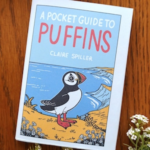 Guía de bolsillo sobre frailecillos / Revista de vida silvestre / Minicómic desplegable / Póster de aves