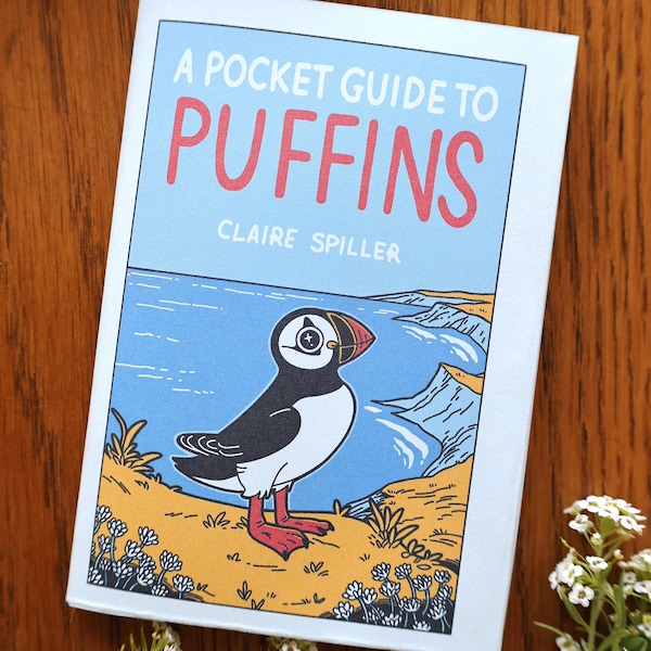 Guía de bolsillo de frailecillos / Revista de fauna salvaje / Minicómic desplegable / Póster de aves