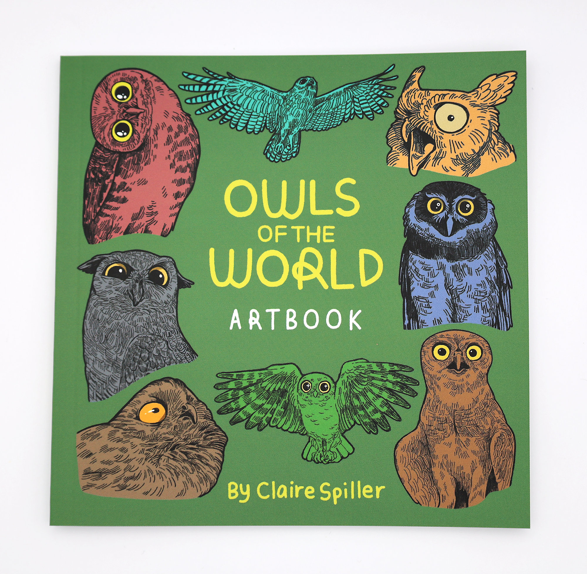 Owls of the World Art Book / Illustrated Book / Bird Species Guide