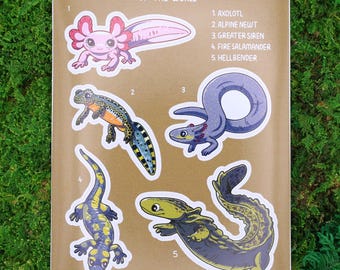 Salamanders of the World Sticker Sheet Glossy Vinyl Newt Axolotl Stickers