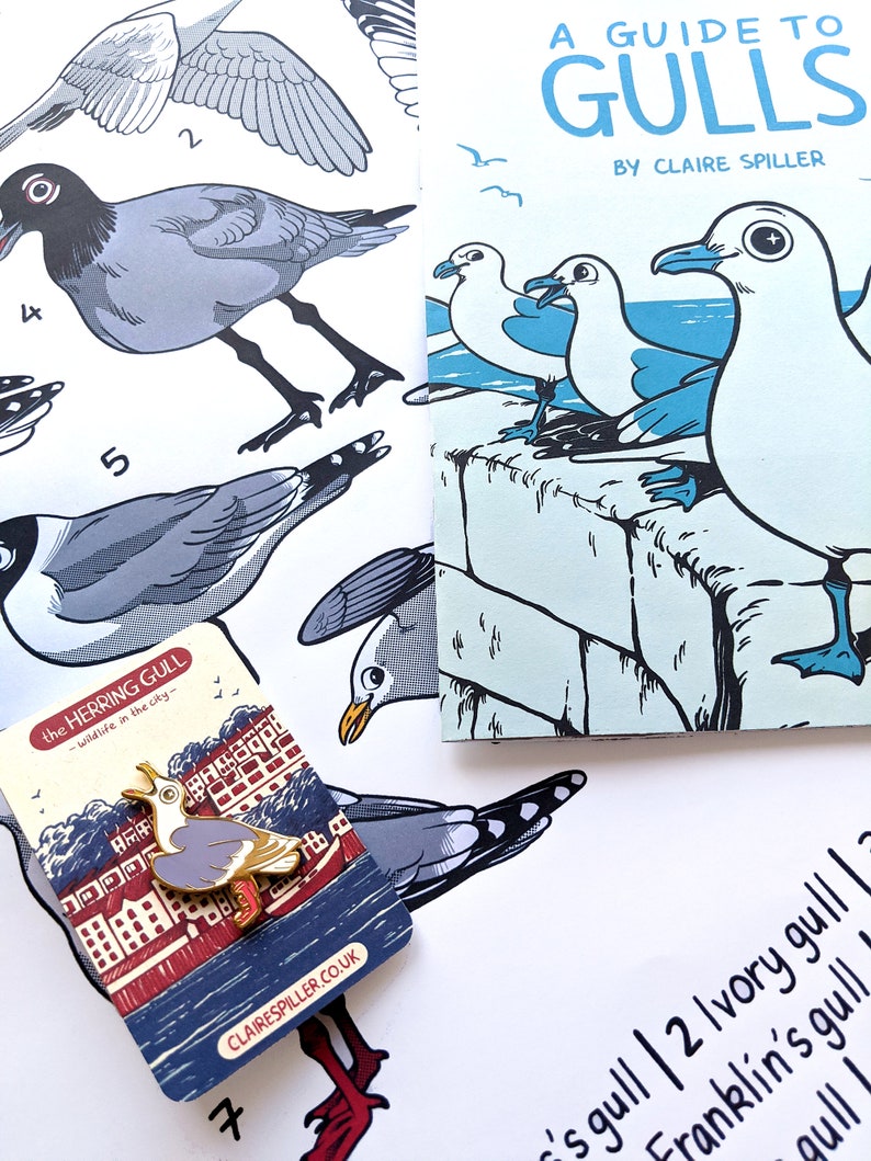 Gull Zine Bundle / Seagull Zine , A3 Poster & Enamel Pin image 2