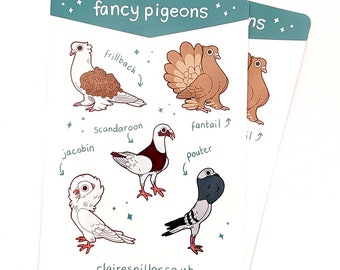 Pigeon Sticker Sheet / Fancy Pigeon Breeds / Paper & Vinyl / Cute Bird Art / Planner