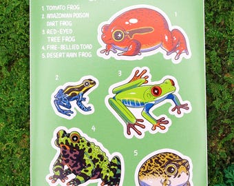 Frogs & Toads of the World Sticker Sheet Glossy Amphibian Stickers