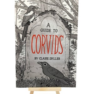 A Guide to Corvids / Wildlife Zine / Magpie Crow Raven / A3 British Corvids Poster
