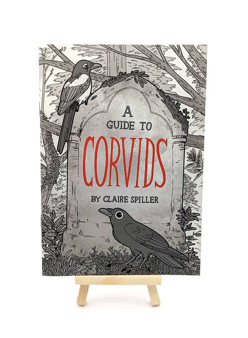 A Guide to Corvids / Wildlife Zine / Magpie Crow Raven / A3 British Corvids Poster Zine only