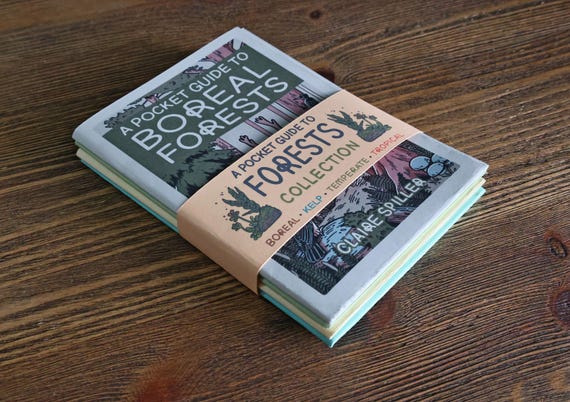 Set of Four Mini Zines - A Pocket Guide to Forests Collection - Foldout A3 Wildlife Posters