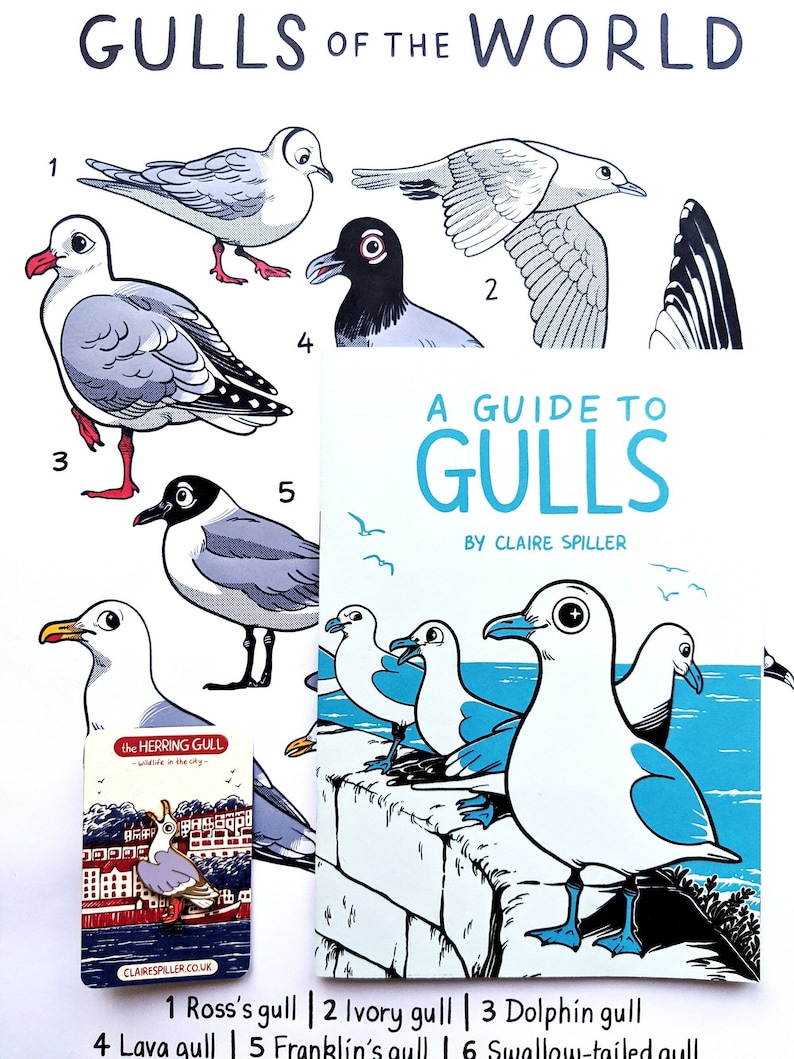 Gull Zine Bundle / Seagull Zine , A3 Poster & Enamel Pin image 1