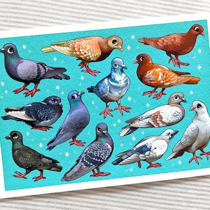 Pigeons of the City Print / Bird Illustration / Pigeon Wall Art