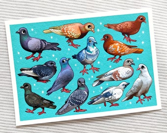 Pigeons of the City Print / Bird Illustration / Pigeon Wall Art