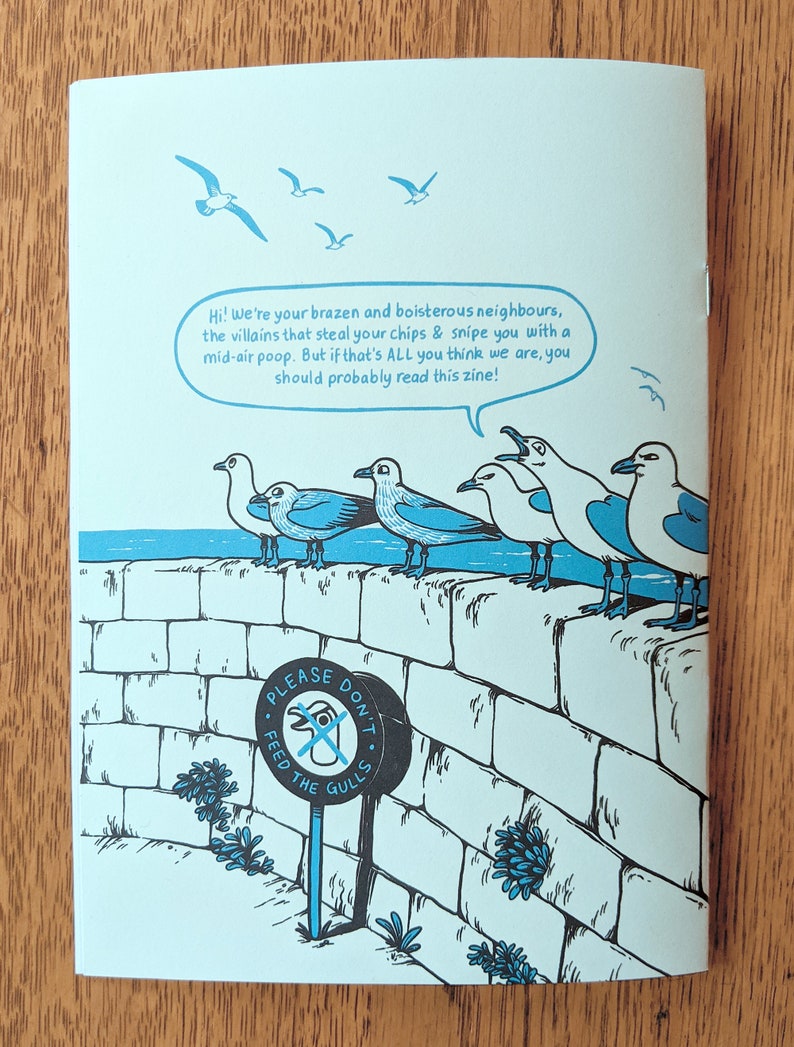 Gull Zine Bundle / Seagull Zine , A3 Poster & Enamel Pin image 4