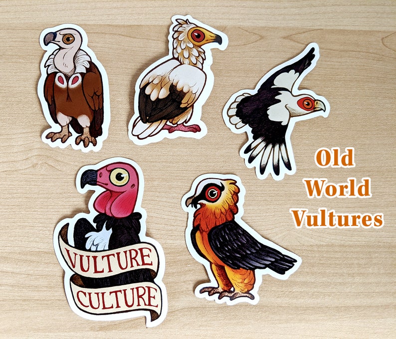 Vulture Sticker Packs / Double Pack / 10 Vinyl Bird Stickers image 3