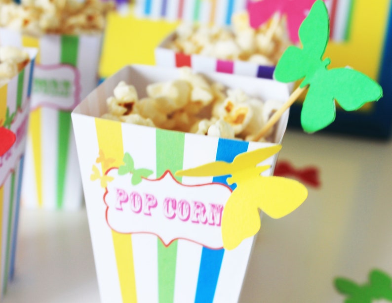 box,anniversaire, arc en ciel, papillon,guirlande, boite pop corn, étiquette bouteille, decoration, anniversaire,pour 6 enfants image 4