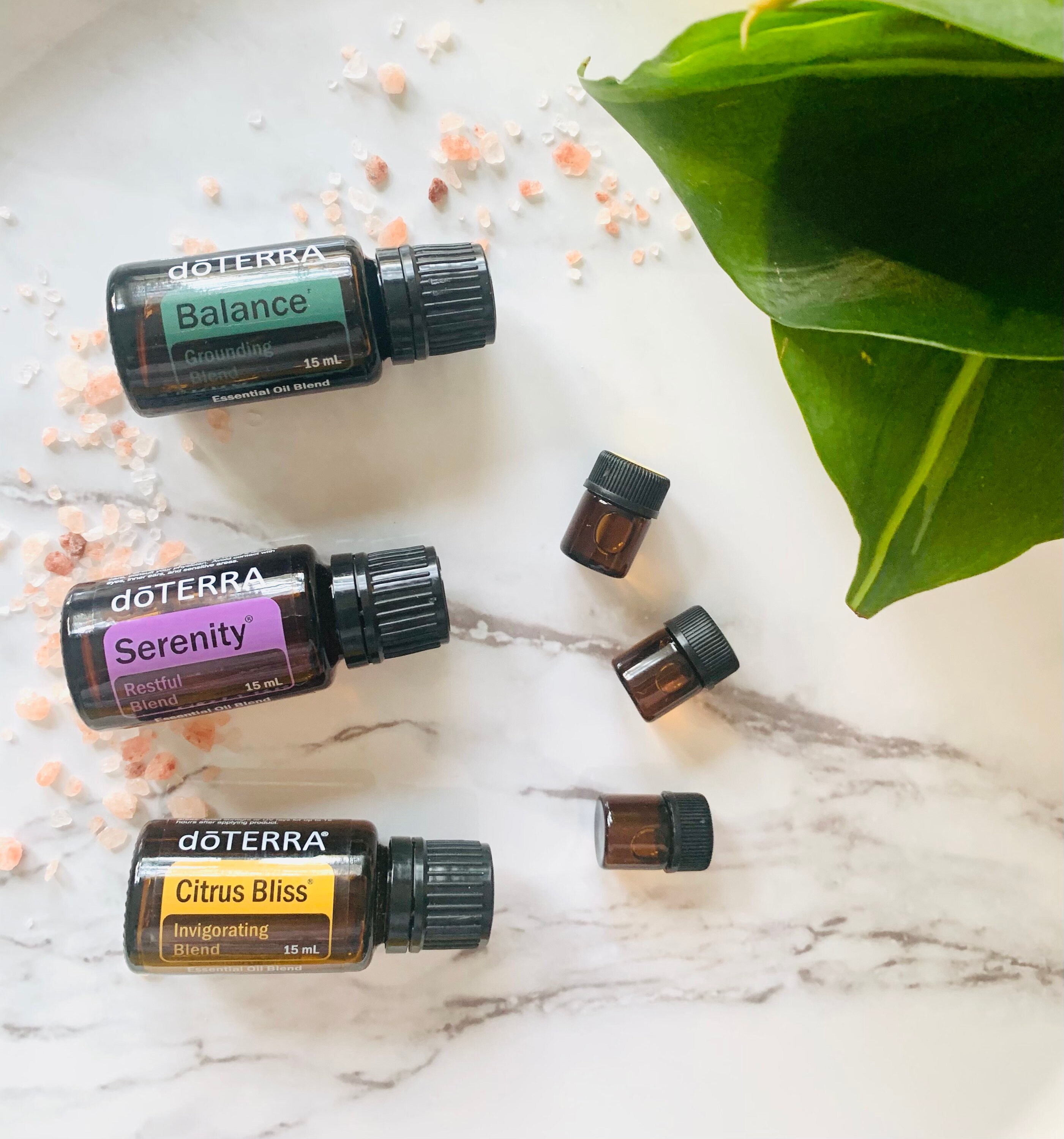 DoTERRA Essential Blend Bundle Essential Oil Trio Blend Etsy