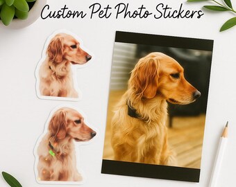 Custom Pet Photo Stickers: Die Cut Vinyl Decals