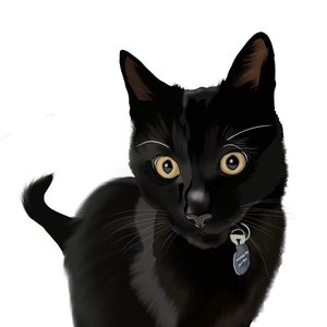 Haustierportrait nach Foto, Haustierportrait, Haustierportrait, Haustierportrait, Personalisiertes Haustierportrait, Hundeportrait, Auftragsportrait