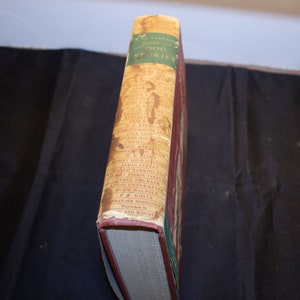 May include: The spine of a red hardcover book titled "The Fireside Book of Dog Stories". The book features a list of authors including Ernest Hemingway, Rudyard Kipling, Jack London, and more.