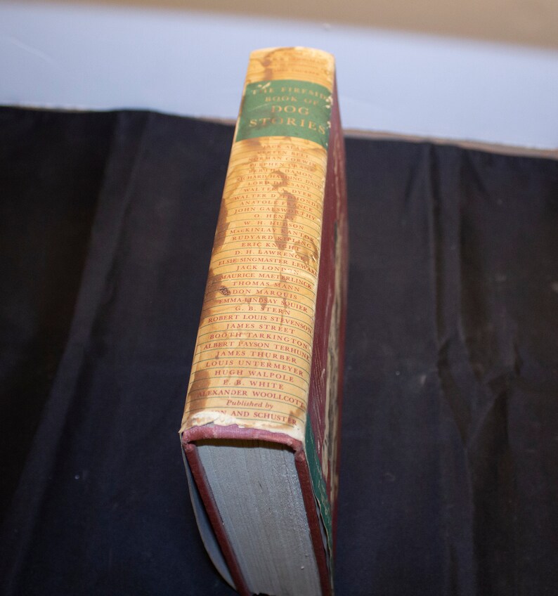 May include: The spine of a red hardcover book titled "The Fireside Book of Dog Stories". The book features a list of authors including Ernest Hemingway, Rudyard Kipling, Jack London, and more.